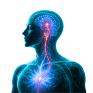 Sound as Body Vibration Illustration2